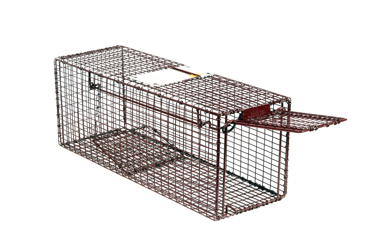 Amazon | Tuffy 24 - Tru Catch Traps - Kitten Trap 子猫向け捕獲機